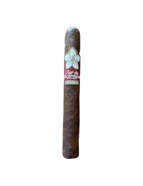 Flor de Nicaragua Colorado Robusto 1ks